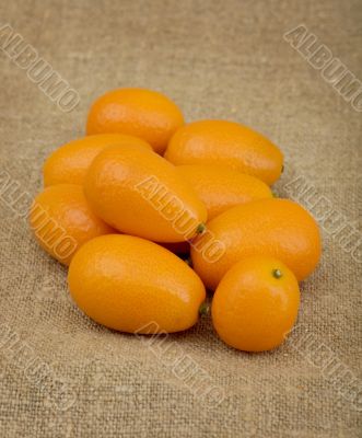 Pile of the kumquat