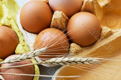 Eggs and wheat