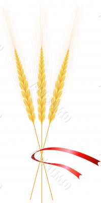 Wheat, three ears