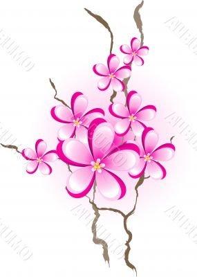 Branch with pink flowers