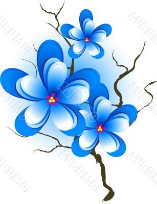 Branch with pink blue flowers