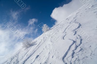 Sunny winter landscape