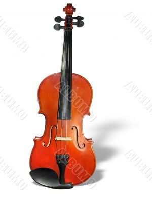 Classic violin with shadow isolated on white background