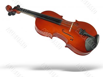 Musical classic violin with shadow isolated on white background