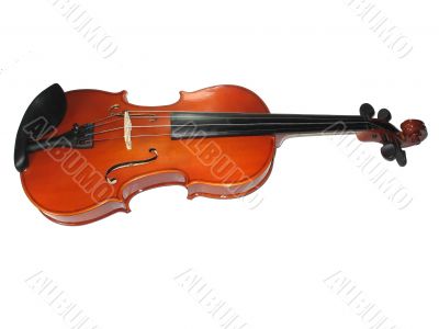 Musical classic violin isolated on white background