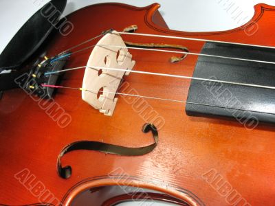 musical classic violin macro detail close-up