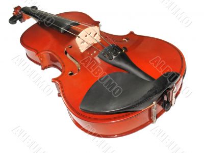 Musical classic violin isolated over white background