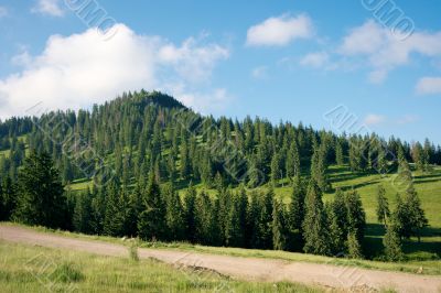 Landscape Landscape