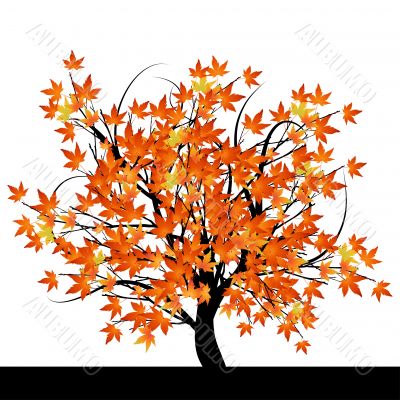 Abstract tree with autumn leaves Abstract tree with autumn leaves