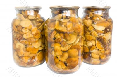preserved mushroom preserved mushroom