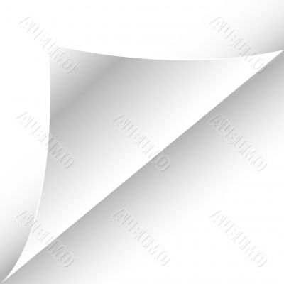 white paper page with curl