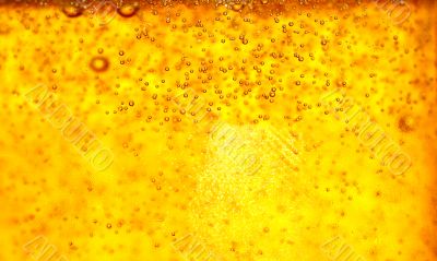 Glass of beer close-up with bubbles