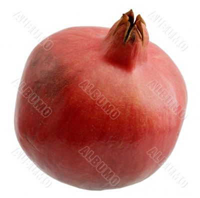 Pomegranate