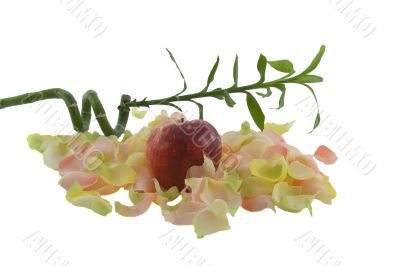Bamboo and big red fresh apple with aromatic rose leave isolated