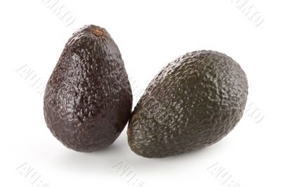 Hass Avocados