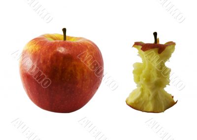 Apple And Core Of An Apple
