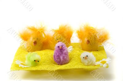 Easter chickens