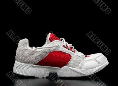 Shoe Shoe
