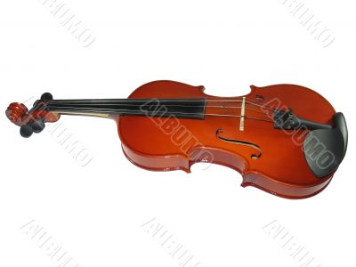 Musical classic violin isolated on white background