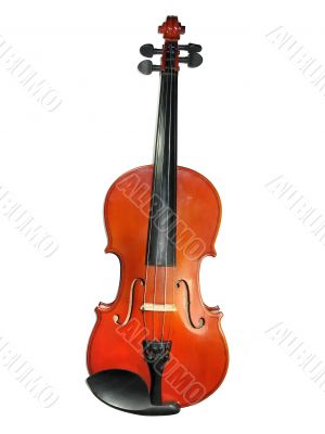 Classic violin isolated on white background