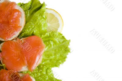 Delicious sandwich on the white background