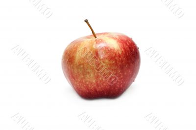 Red apple