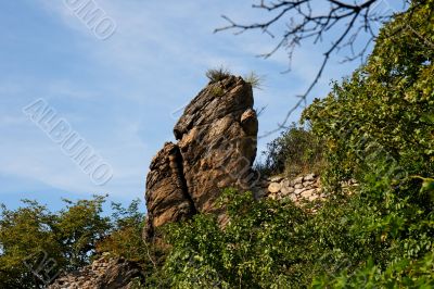 Rocky finger  with grass tuft