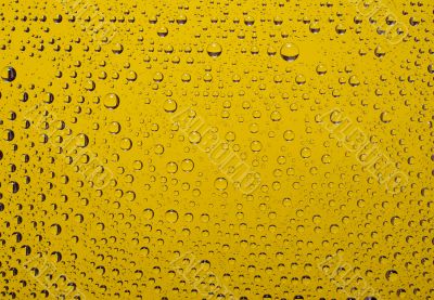 Water drops Water drops