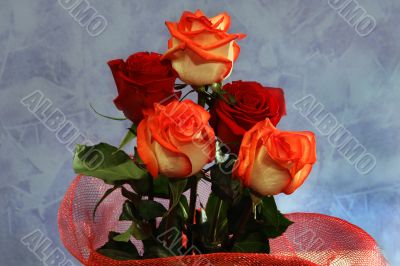 five roses five roses