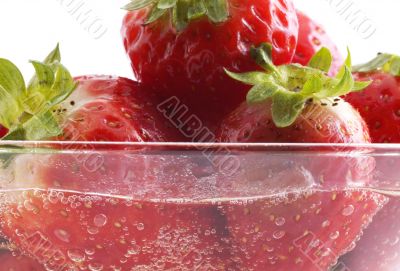 strawberry in champagne