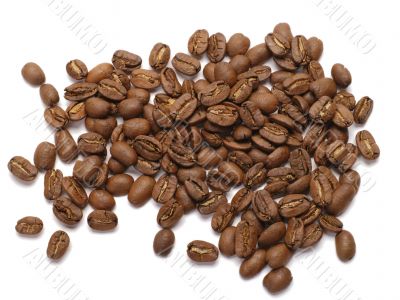 Coffe Beans