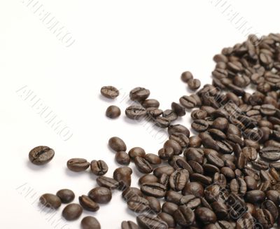 Coffe Beans