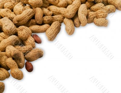 peanuts