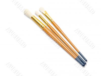 paintbrushes