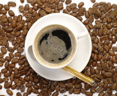 Coffee Beans