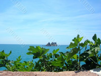 island in sea over green leaves