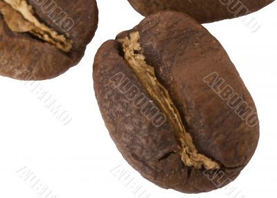 Coffe Beans