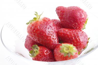 strawberry in champagne