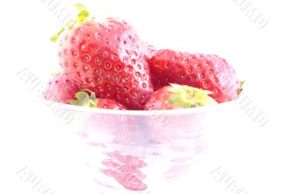 strawberry in champagne