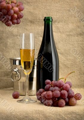 Champagne bottle, grape and bucket
