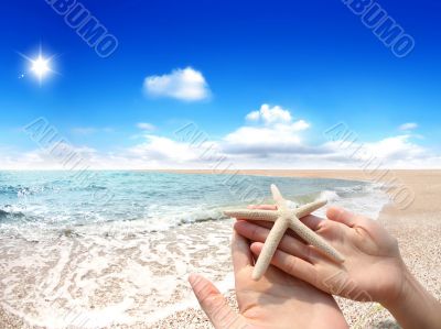 At the seaside At the seaside