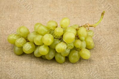 Grapes
