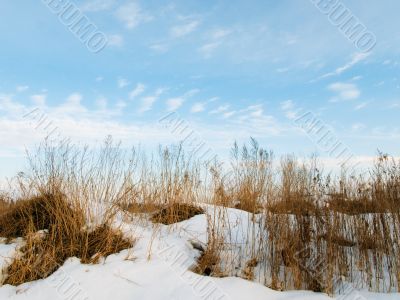 Landscape in winter