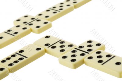 Bones of dominoes