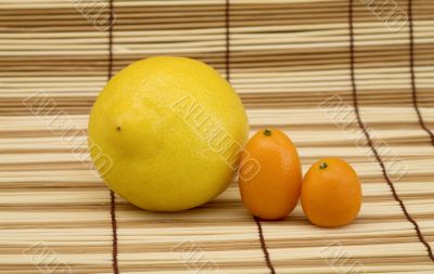 Lemon and kumquat