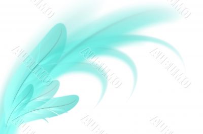 Abstract blue feathers on white background