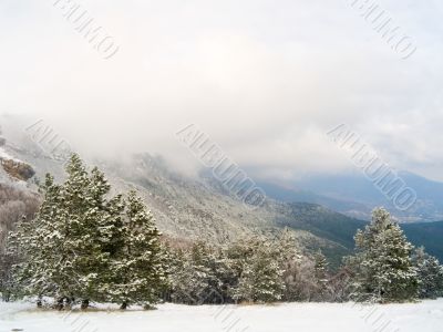 Winter landscape