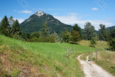 Road among meadows under the mountain