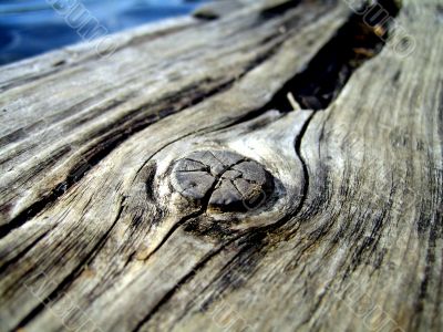 knot in old wood