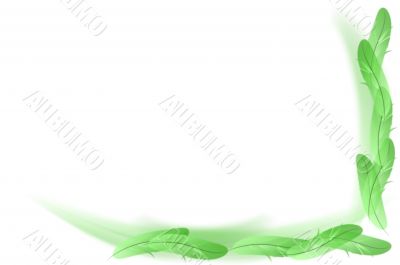 Abstract white -  green feathers background
